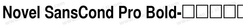 Novel SansCond Pro Bold字体转换